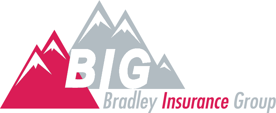 Bradley Insurance Group
