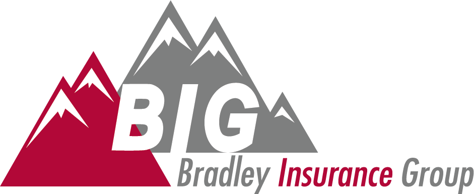 Bradley Insurance Group